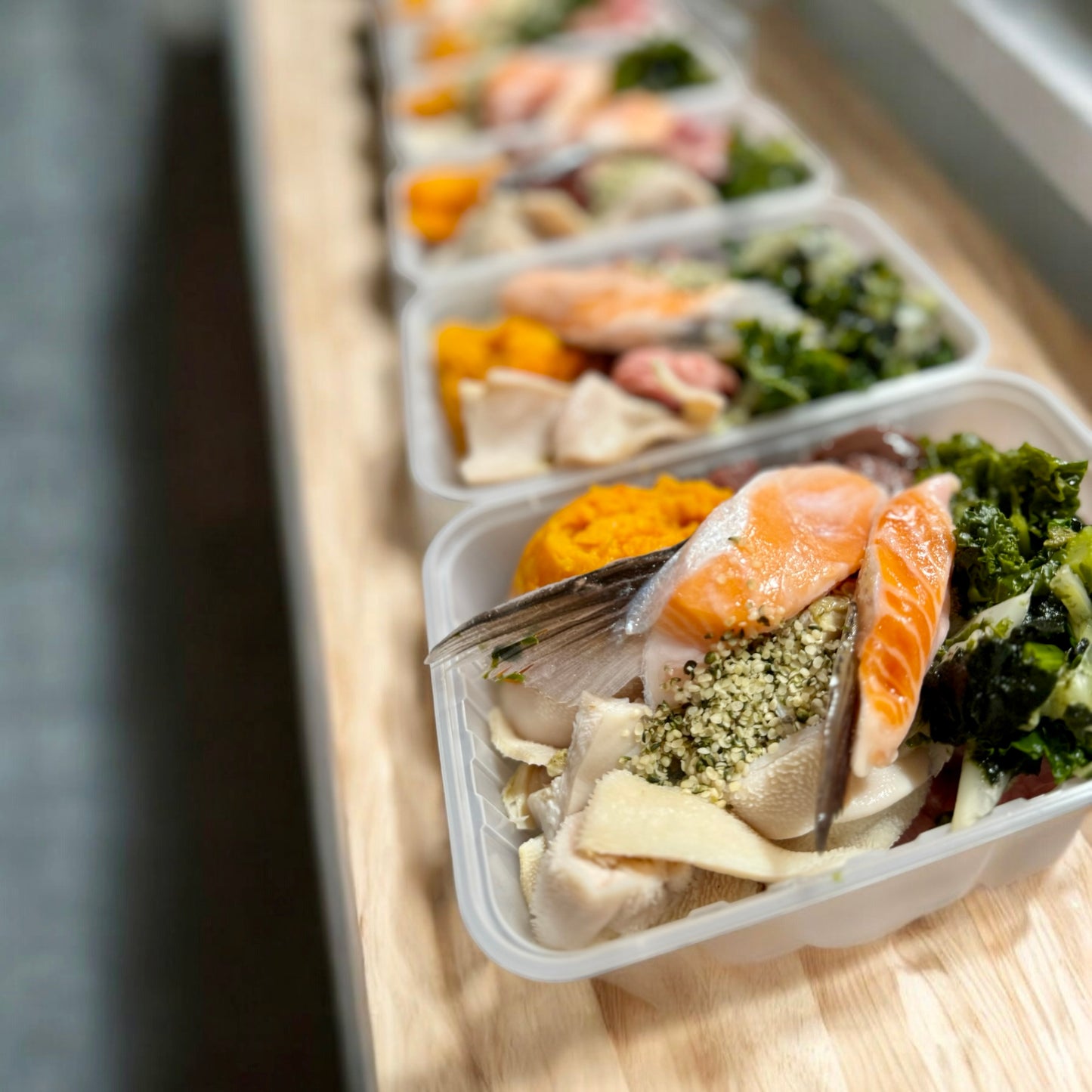 X-Large Dog 14 Pack Options