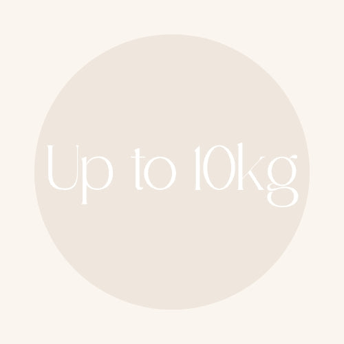 Small Dog Meal Options