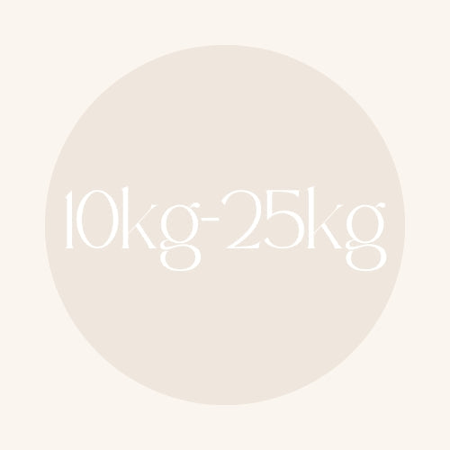 Medium Dog Meal Options