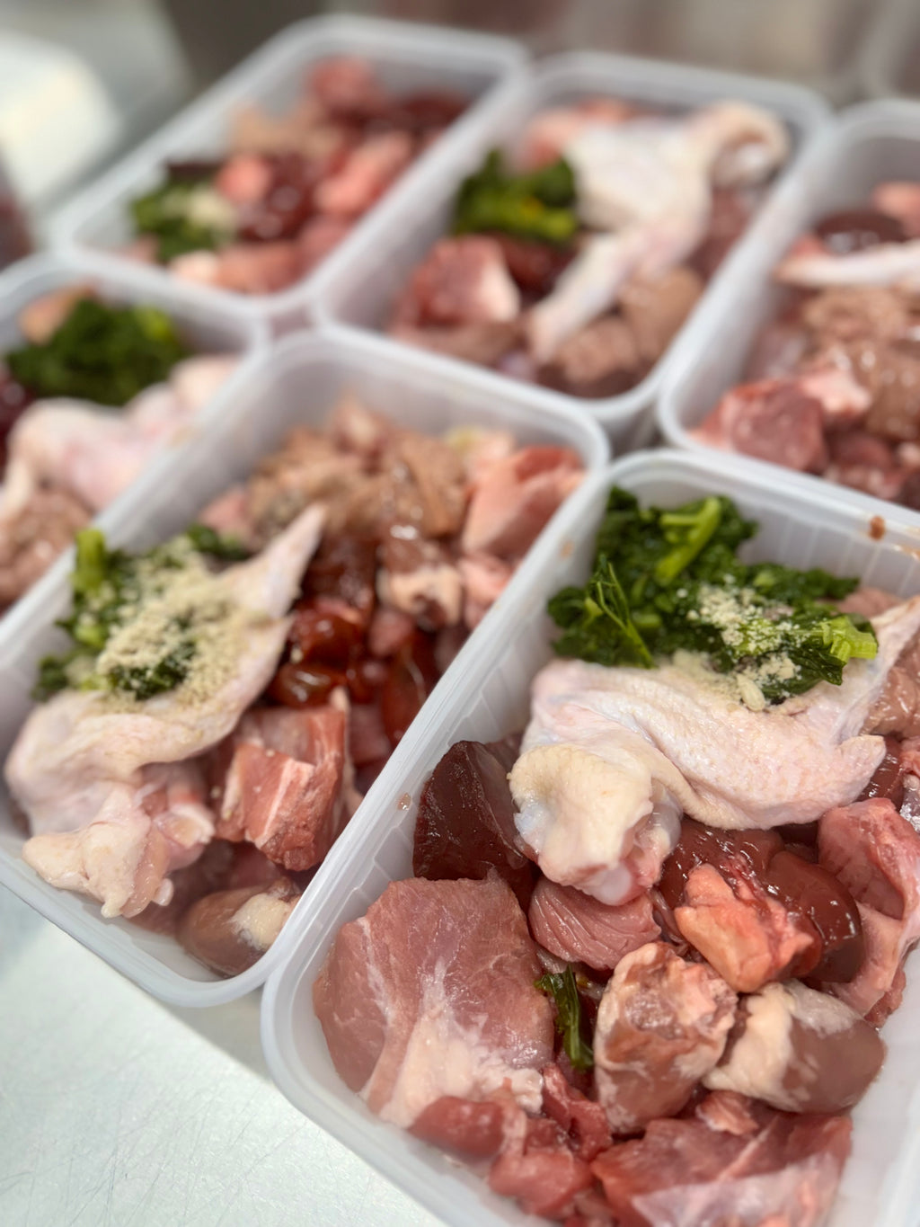 Embark Raw Pantry Fresh Raw Dog Food Custom Made Australia Beef and Turkey