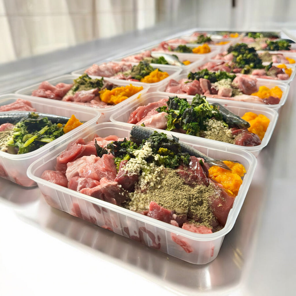 Embark_Raw_Pantry_Fresh Raw Dog Food Custom Made to Order Frozen Subscription Delivery Australia