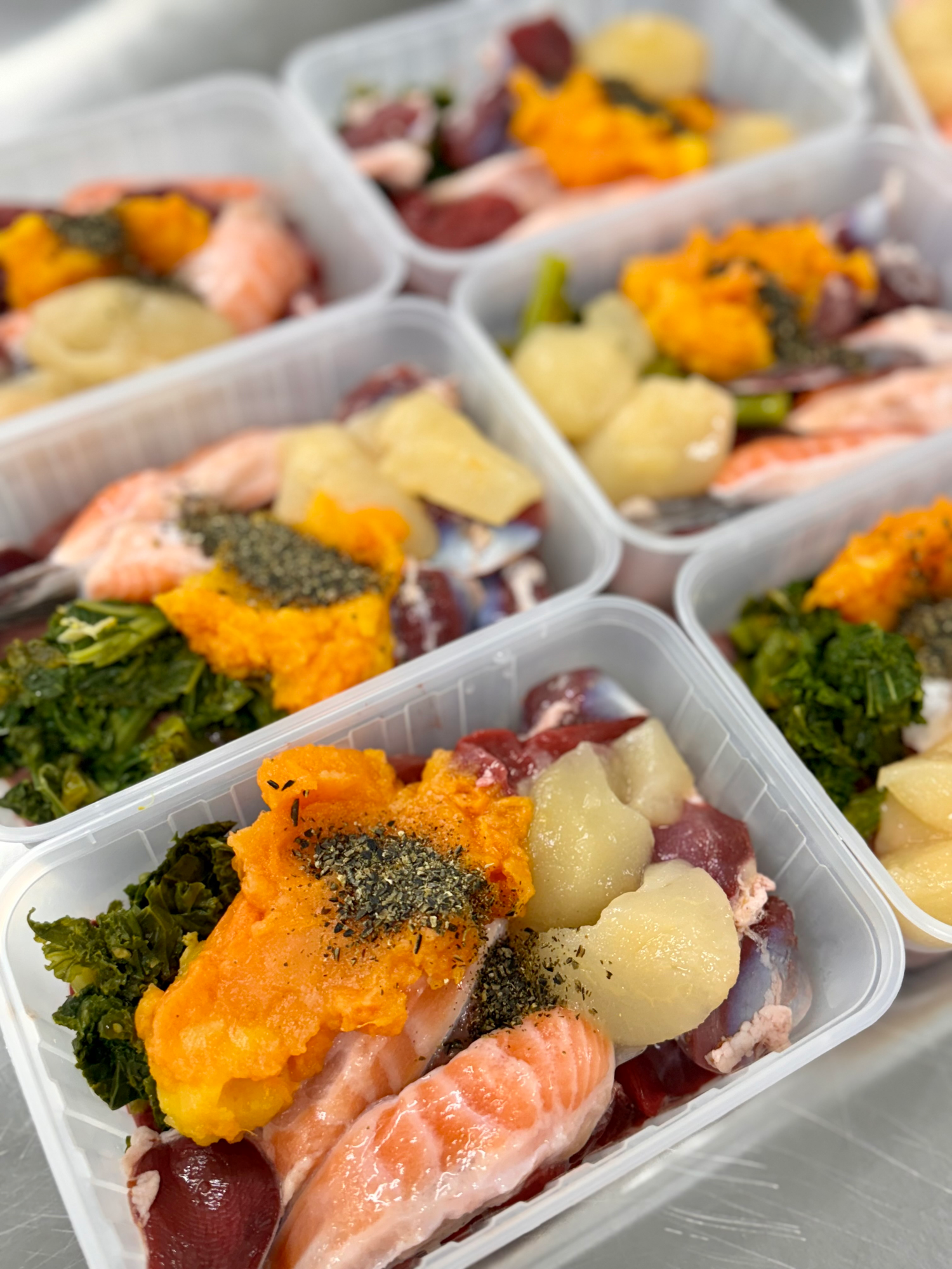 Embark_Raw_Pantry_Fresh Raw Dog Food Custom Made to Order Subscription Delivery Australia