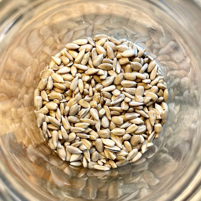 Sunflower_seeds-Embark raw pantry