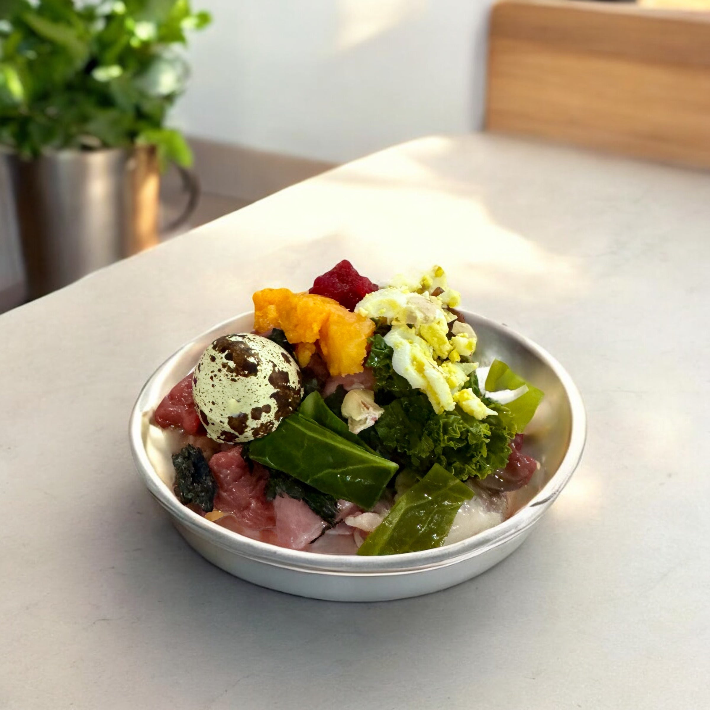 Embark Essential Elements | Fresh Made-to-Order Raw Dog Food