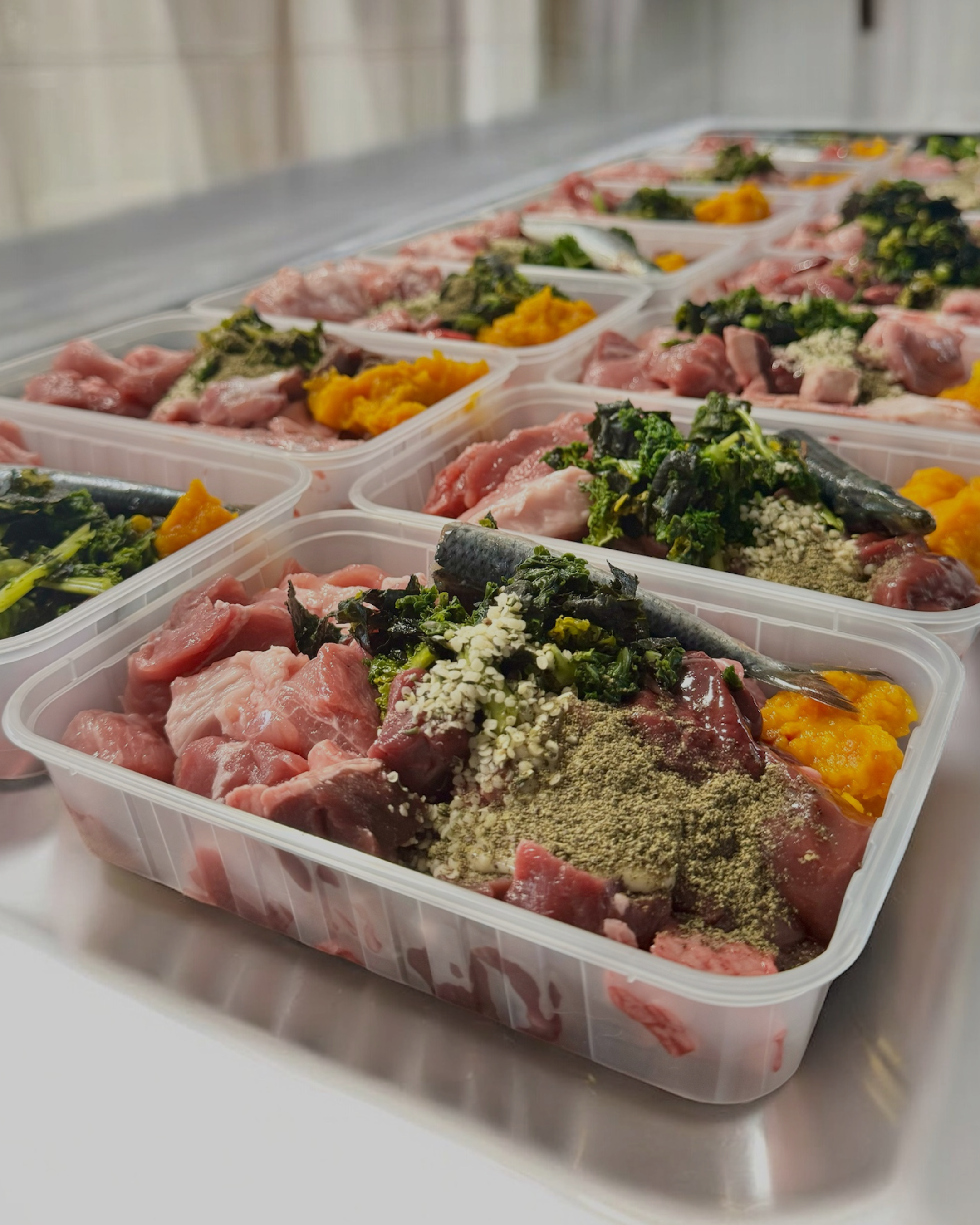 fresh-raw-dog-food-real-ingredients-chunky-cut-no-fillers-delivered